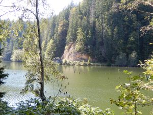image415